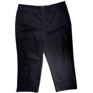 TALBOTS Pants  sz 10P petite  Heritage  Navy Blue  Cropped  Chinos  Side Zip GUC